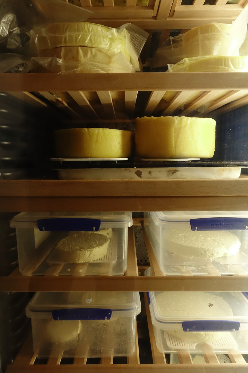 Cheese Making
